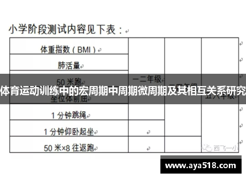 体育运动训练中的宏周期中周期微周期及其相互关系研究